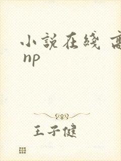 小说在线 高h np