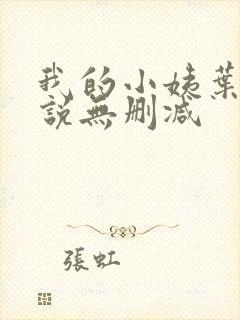 我的小姨叶凡小说无删减封面