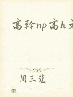 高干np高h文封面