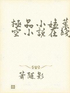 极品小姨叶凡司空小说在线阅读全文