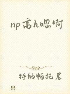 np高h嗯啊