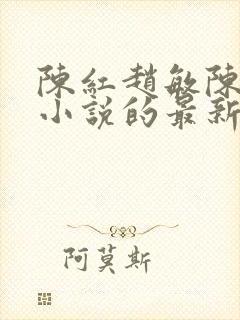 陈红赵敏陈法蓉小说的最新章节内容封面