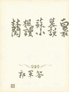 林枫苏慕白免费阅读小说最新章节列表