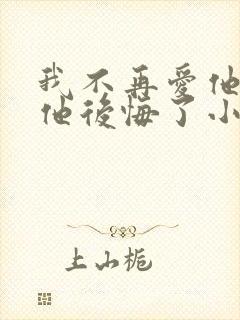 我不再爱他后,他后悔了小说免费阅读