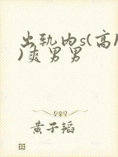 出轨内s(高h)爽男男