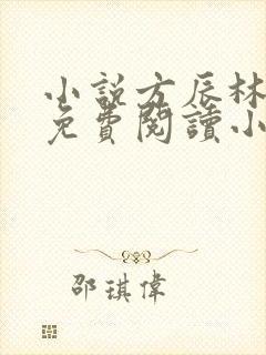 小说方辰林雪妍免费阅读小说