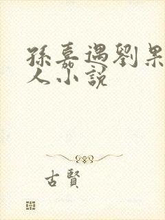 孙嘉遇刘果宁同人小说