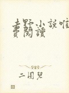 去野小说唯酒免费阅读封面