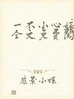 一不小心嫁总裁全文免费阅读