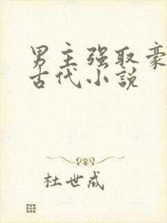 男主强取豪夺的古代小说封面