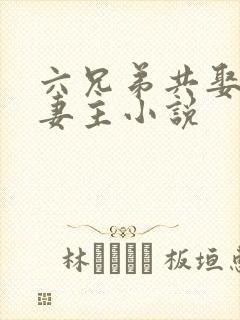 六兄弟共娶一个妻主小说