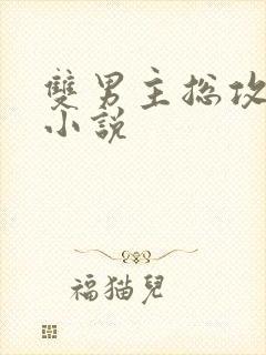 双男主总攻高h小说封面