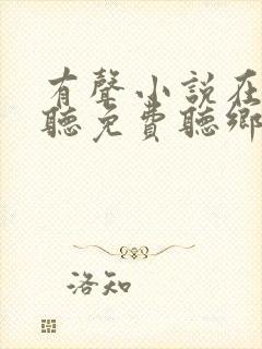 有声小说在线收听免费听乡村封面