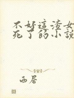 不好这渣女要虐死了的小说封面