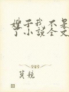 嫂子我不是傻子了小说全文阅读