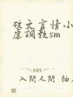 破文言情小说性虐调教sm