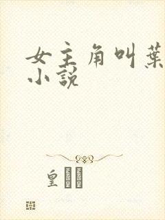 女主角叫叶卿的小说