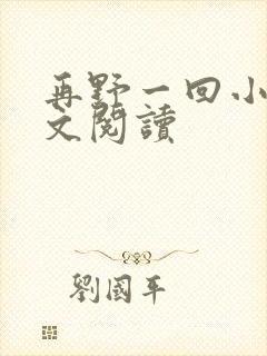 再野一回小说全文阅读