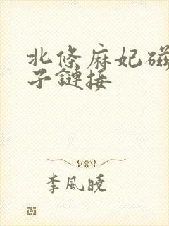 北条麻妃磁力种子链接