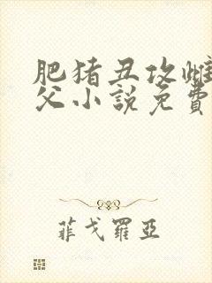 肥猪丑攻雌堕人父小说免费读