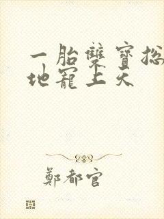 一胎双宝总裁爹地宠上天封面