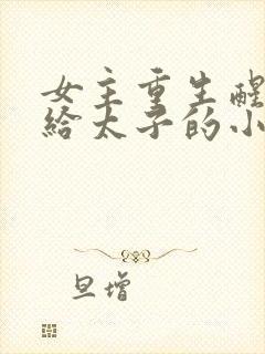 女主重生醒悟嫁给太子的小说