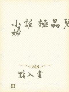 小说 极品儿媳妇