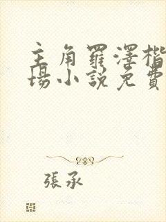 主角罗泽楷的官场小说免费阅读封面