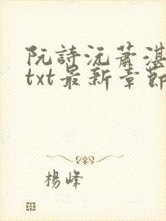 阮诗沅萧湛小说txt最新章节内容封面