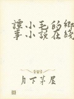 谭小毛的乡村韵事小说在线阅读