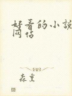 好看的小说阅读网站