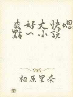 爽好大快嗯～轻点～小说
