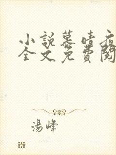 小说慕晴夜君博全文免费阅读