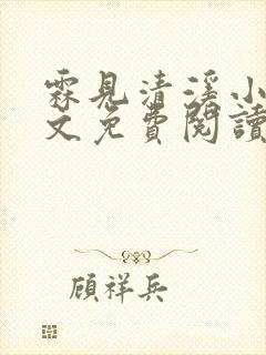 霖见清溪小说全文免费阅读最新章节