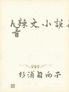 h辣文小说在线看