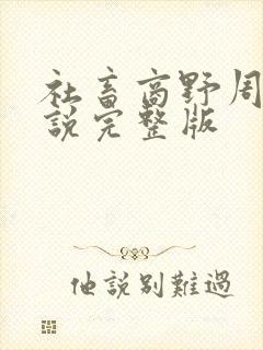 社畜商野周颂小说完整版