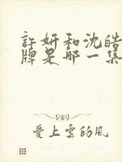 许妍和沈皓明摊牌是哪一集