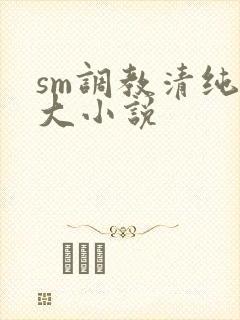 sm调教清纯女大小说