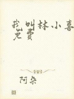 我叫林小喜全文免费