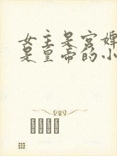 女主是宫婢男主是皇帝的小说