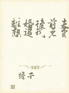 离婚后前夫总是想追我免费阅读全文