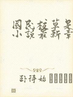 国民校草是女生小说最新章节