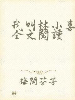 我叫林小喜乖宝全文阅读封面