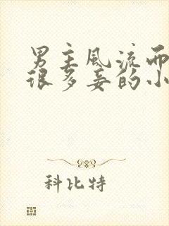 男主风流而且有很多妾的小说