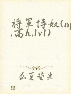 将军侍奴(np,高h,1v1)