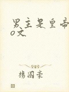 男主是皇帝的po文