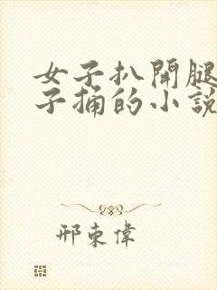 女子扒开腿让男子捅的小说