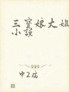 三宝娘大姐二姐小说