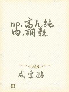np,高h,纯肉,调教