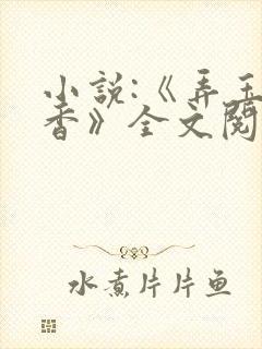 小说:《弄玉偷香》全文阅读